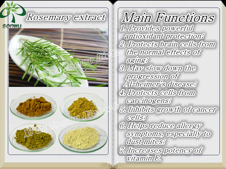 rosemary extract rosmarinic acid carnosic acid ursolic acid