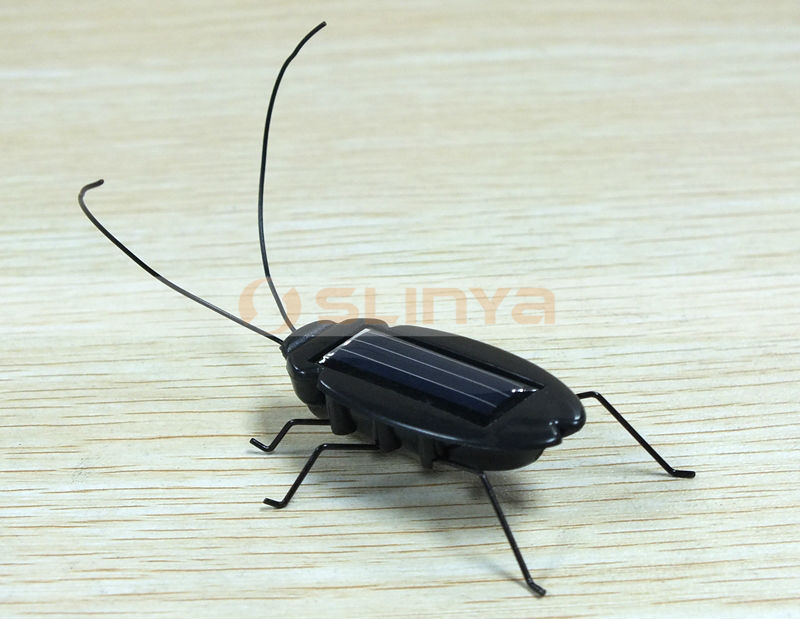 solar cockroach 8015 131216 (4).JPG