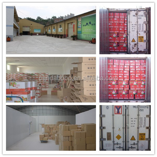 2014 new crop wholesale fresh red onion vegetable for the importers in singapore as a supplier and e