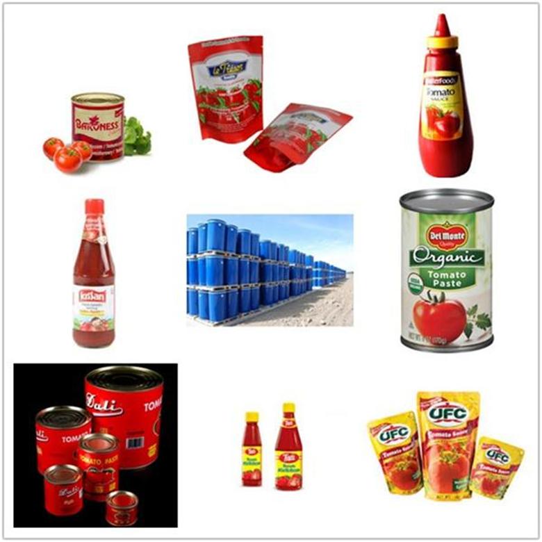 Best taste tomato ketchup concentrated in glass bottle 500gX12bottles
