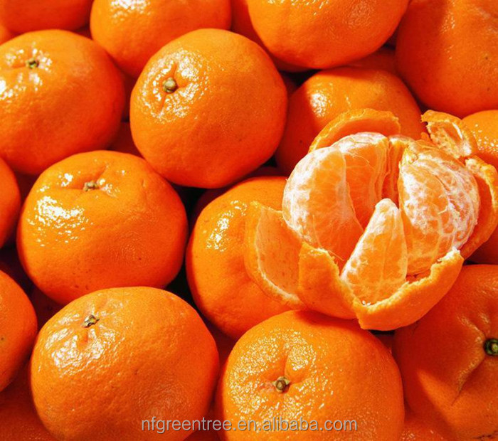 Pampas original fresh honey mandarin with own orchard and processing factory