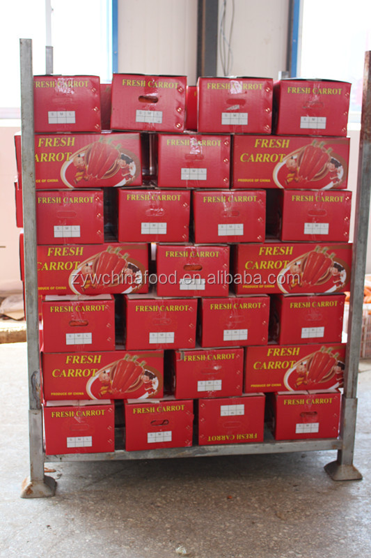 2014 Fresh Carrot Price For Middle East Markets