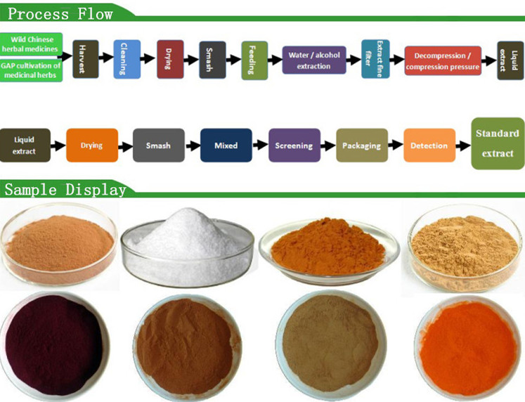 pure huperzine a powder huperzia serrate extract manufacturer