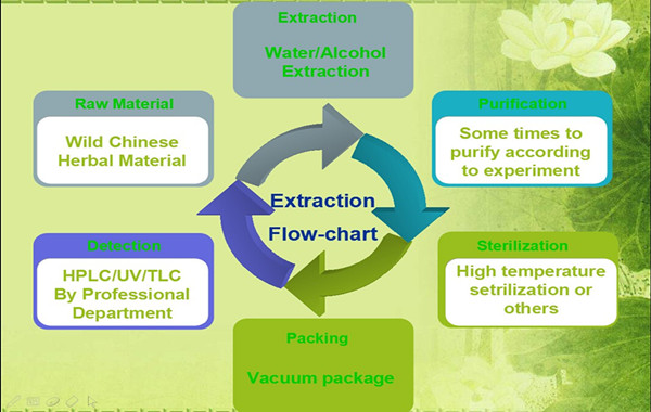 New Arrival Cinnamon Bark Extract Cinnamaldehyde Cinnamon Powder
