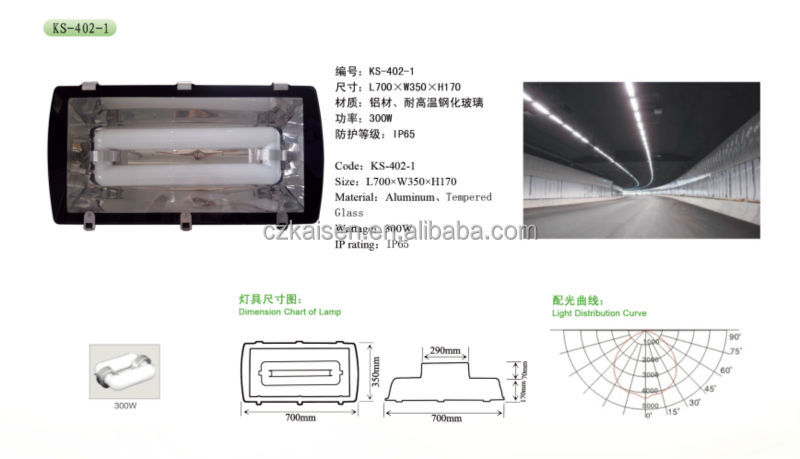 プロの誘導照明2015江蘇省電力トンネルライト仕入れ・メーカー・工場