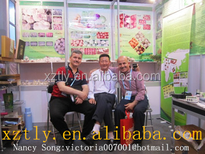 2014 Holland Potato with good quality