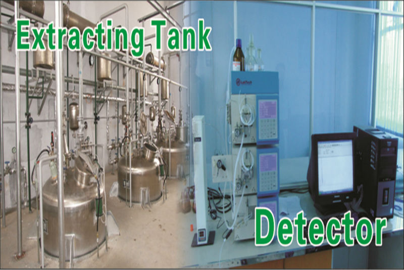 ginseng extract/korean red ginseng tea/ginseng powder