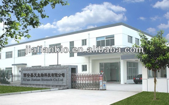 high quality cinnamon bark extract powder