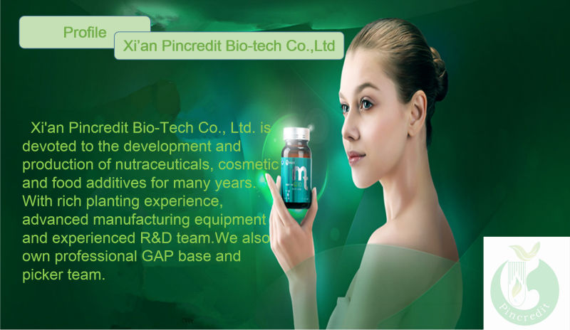 GMP factory produce goji polysaccharide organic goji berry extract