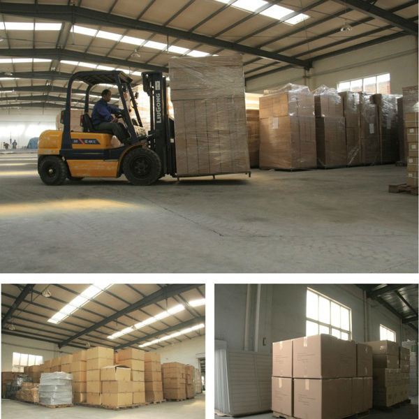 China Cattle Headlock With High Quality & Competitive Price