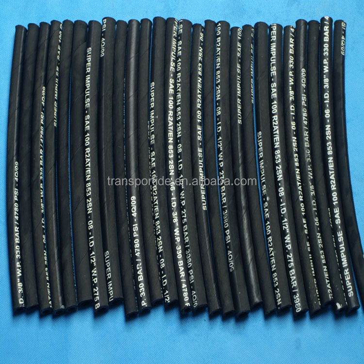 TR-HOSE-PICT0301.jpg