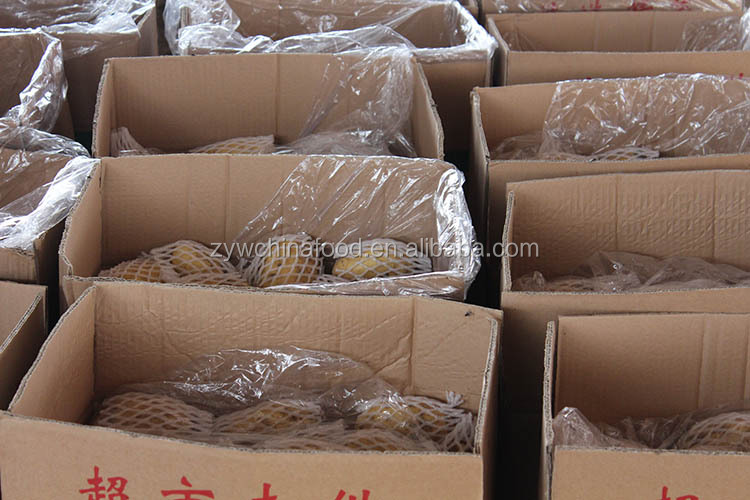 2014 New Crop Low Prices High Quality Supplier of Chinese Fresh Potato