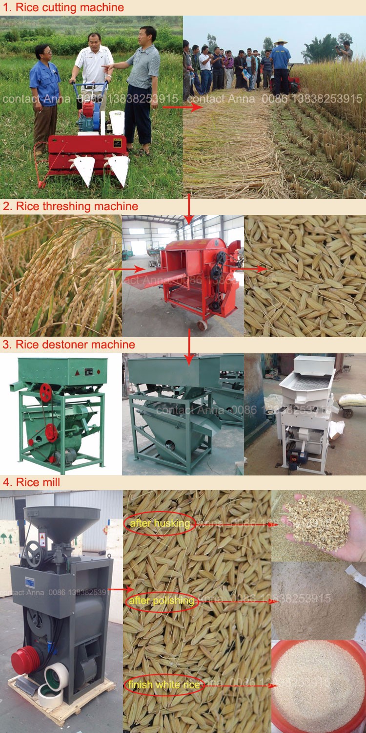 1 processing line.jpg
