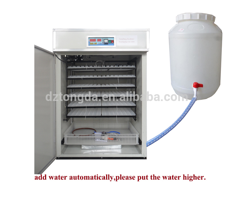 Hot Selling Incubator Microbiology With Ce Certificate Buy Incubator