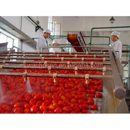 Factory sell tomato paste brands to Africa market