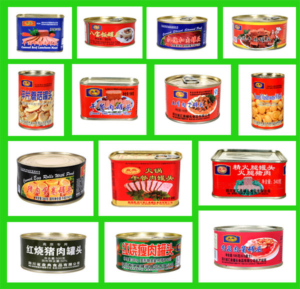 China wholesale high quality types canned food products curry beef