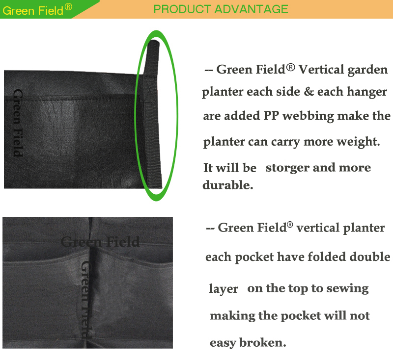緑色の縦壁がマウントされているの植木鉢、 壁がマウントされているリビングの植木鉢仕入れ・メーカー・工場