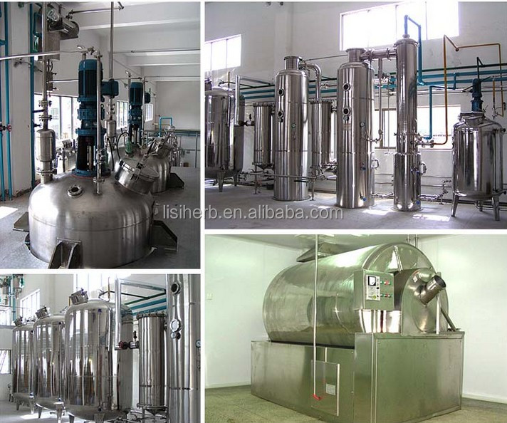 ISO Certificated factory supply top quality cocoa extract