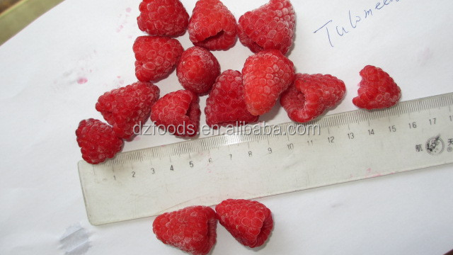 raspberry seed extract
