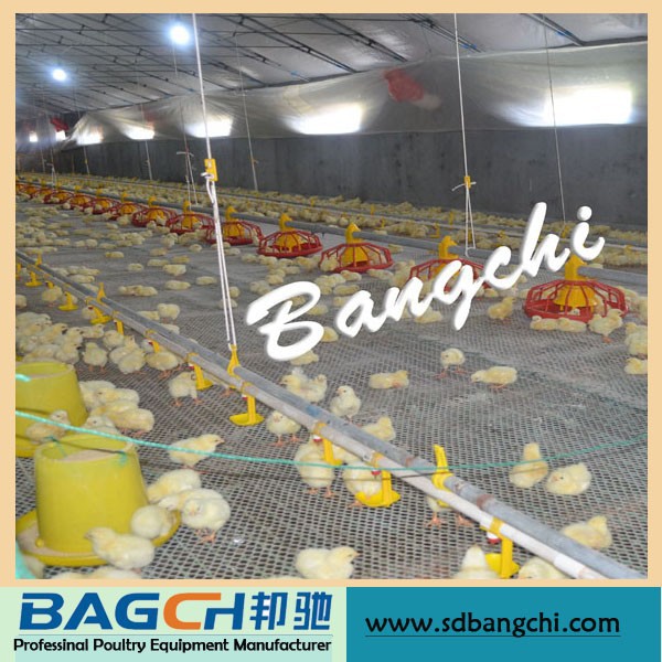 2015 Hot Sale Automatic Nipple Broiler Chicken Water Line Equipment .jpg