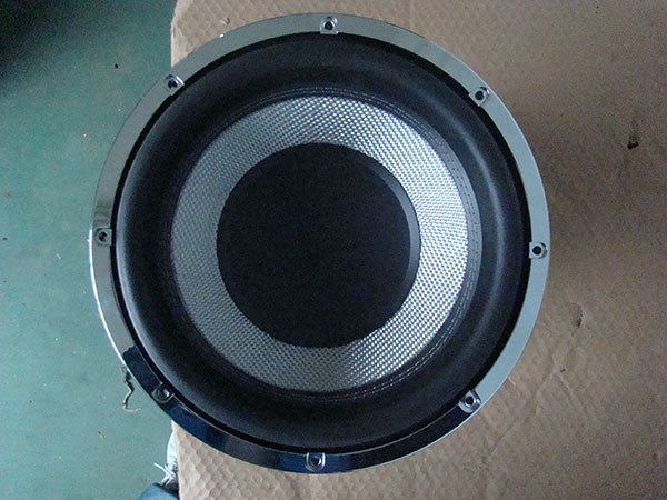 10 1000w subwoofer.JPG