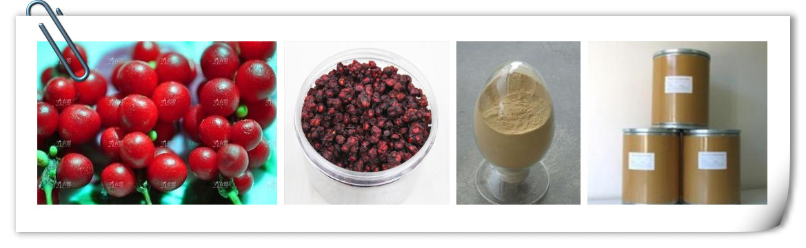 2014 20% Extract of the total lignans Schisandra extract