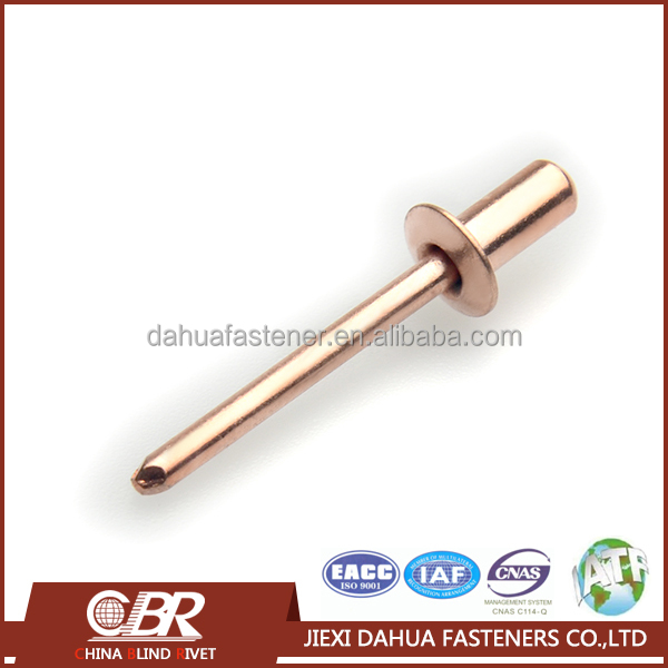 Closed End Brass Blind Rivet.JPG