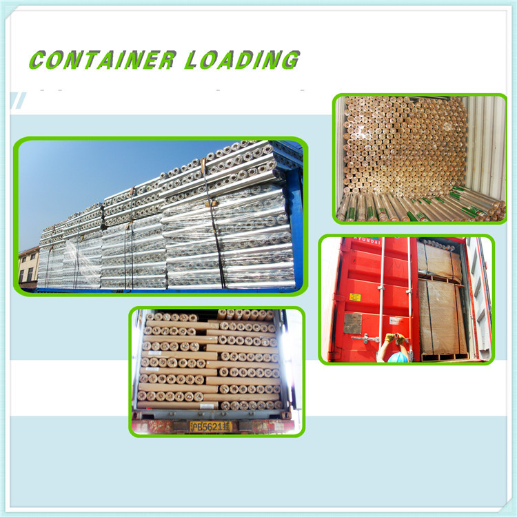 GIANT CONTAINER LOADING