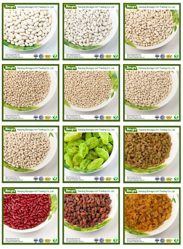 LIGHT SPECKLED KIDNEY BEAN 2014 NEW PRODUCTS CHINA SUPPLIER