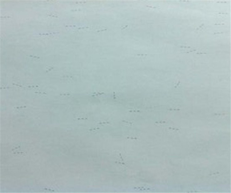 Safted 100%綿a4紙幣透かしセキュリティ紙でスレッドライン仕入れ・メーカー・工場
