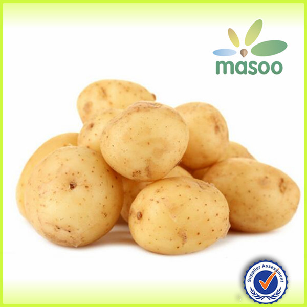 2014 crop Fresh Chinese Holland Potatoes Exporters