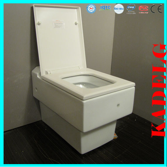 Cuarto de baño del reino unido utiliza casa rectangular wc inodoro ...