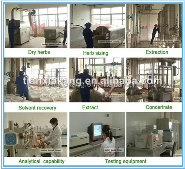 Factory 100% Natural Organic 10%-20% Theobromine Cocoa Extract Powder,Cocoa Bean Extract Powder, Low Price Akalized Cocoa Powder