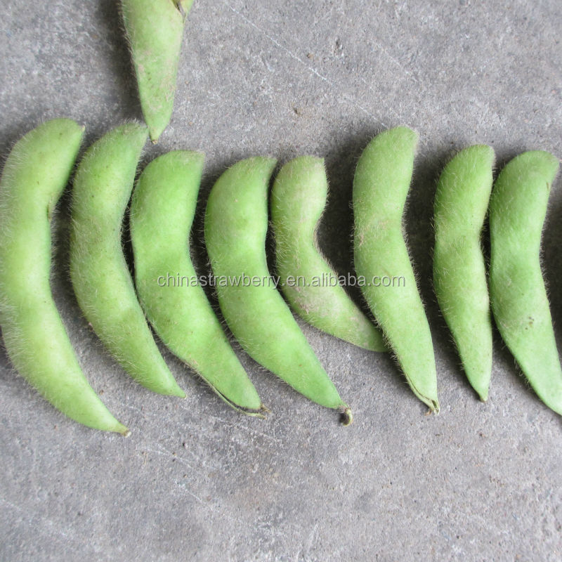 IQF GREEN SOYBEAN Frozen Edamame