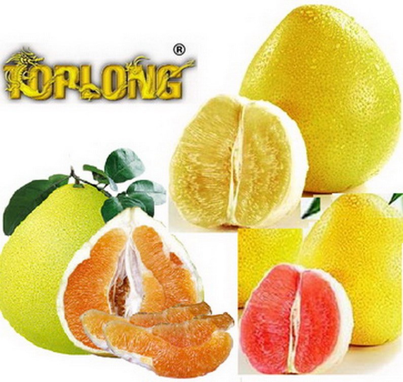 color pomelo (shaddock), View pomelo, OEM Product Details from Toplong