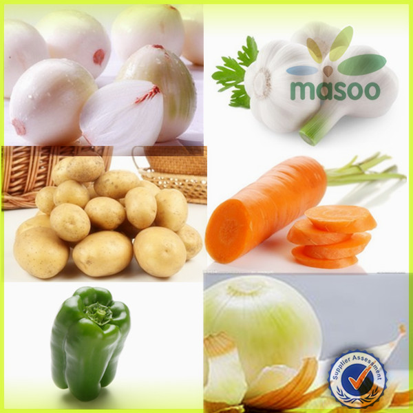 new fresh holland potato 150-200g export