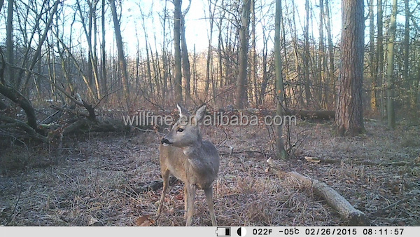 8mp 720 p 940nm目に見えない赤外線led防水ip54バッテリ駆動屋外野生生物狩猟カメラ仕入れ・メーカー・工場
