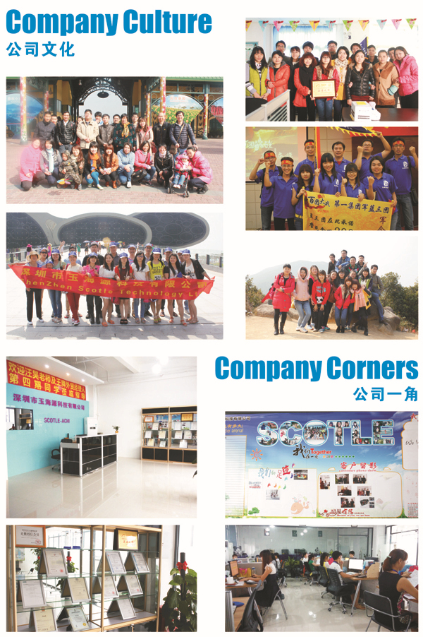 company culture