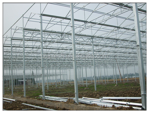 glass greenhouse for rose
