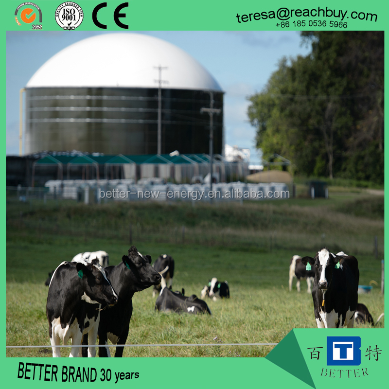 biogas anaerobic reactor