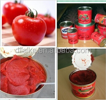 canned tomato paste sizes