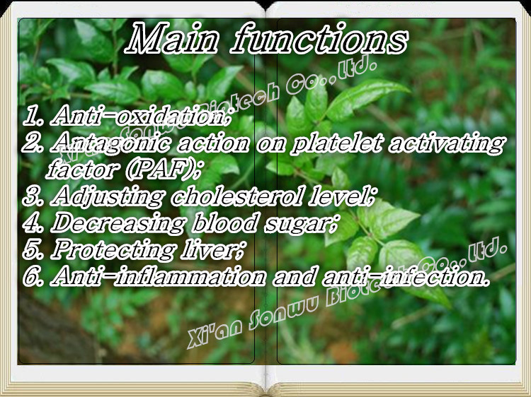 vine tea extract 98% dihydromyricetin extract