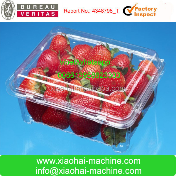 fruit tray making making machine.jpg