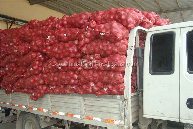2014 Fresh Onion Red Onion From Shandong High Quality Hot Export
