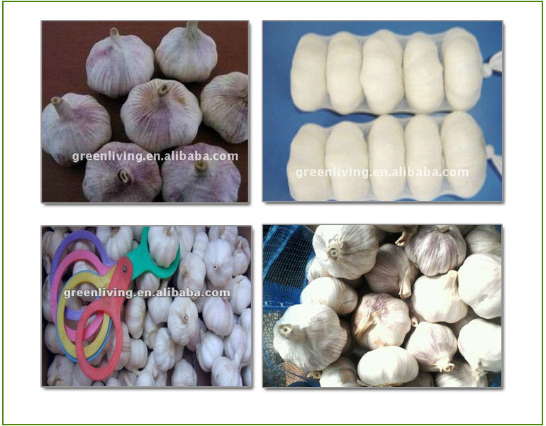 Fresh Garlic In Mesh Bag (Low Price)