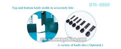 BW8800-Details.jpg