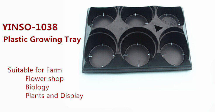 2014年熱い販売6穴黒psプラスチック製の栽培トレイ仕入れ・メーカー・工場