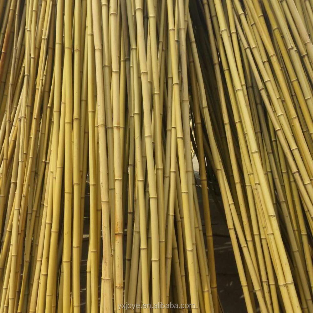 cheap raw bamboo cane bamboo pole for plant