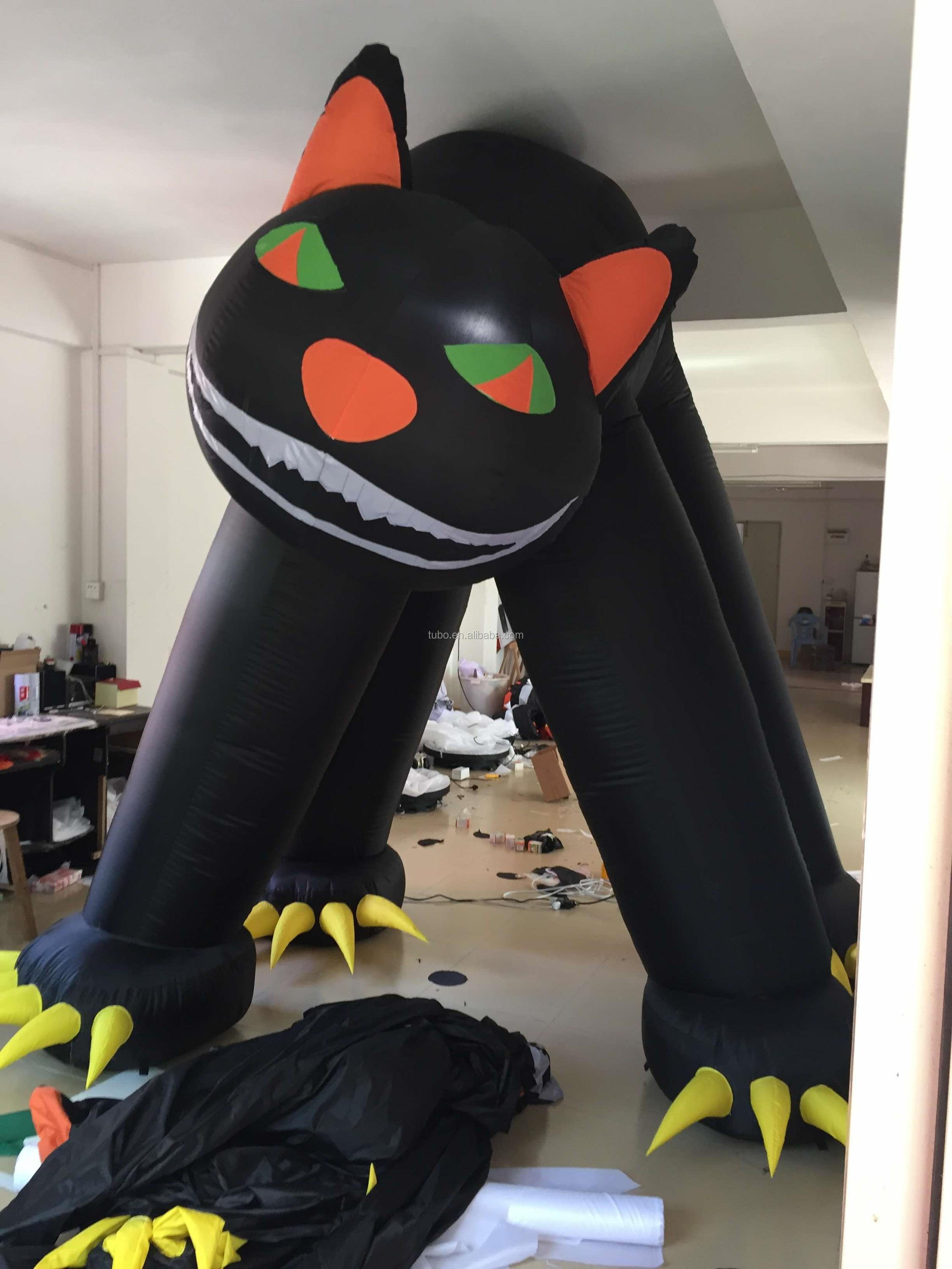 cat2.jpg