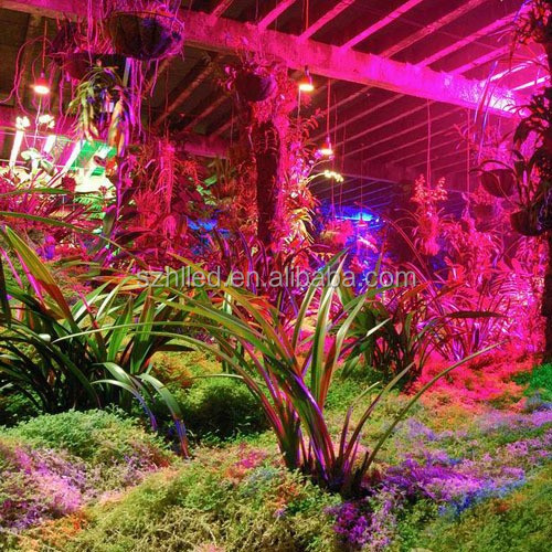 屋内植え光120 ワット led植物成長ライト用農業greenhousehouse仕入れ・メーカー・工場